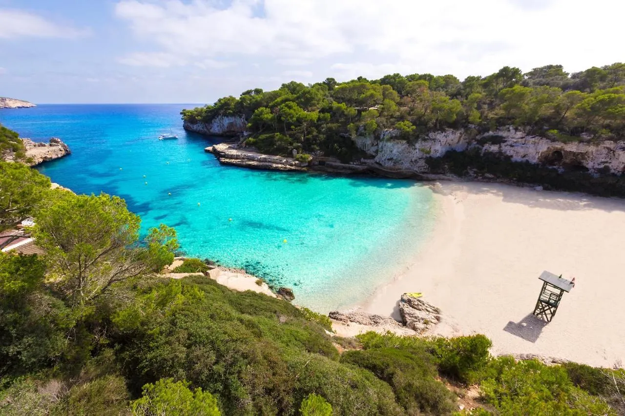 Alcudia Beach B3 Gfb Sea View Apartment